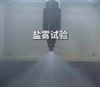 中性盐雾测试（NSS）